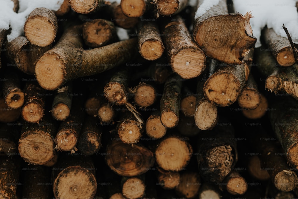 a pile of cut logs in the snow