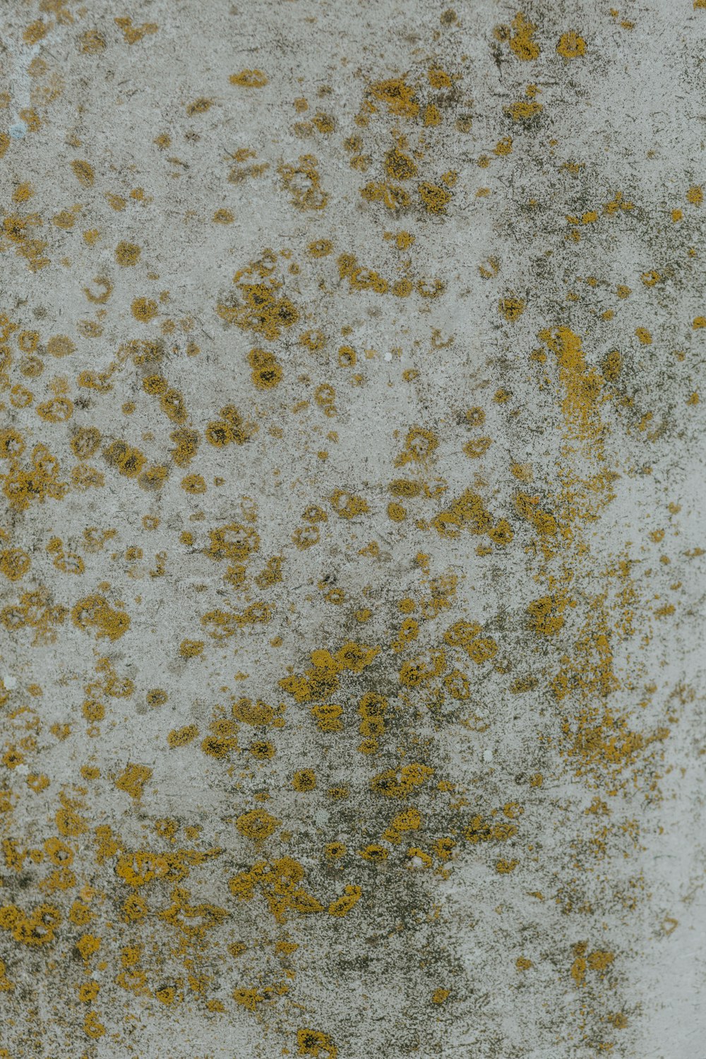 a close up of yellow and white paint on a wall
