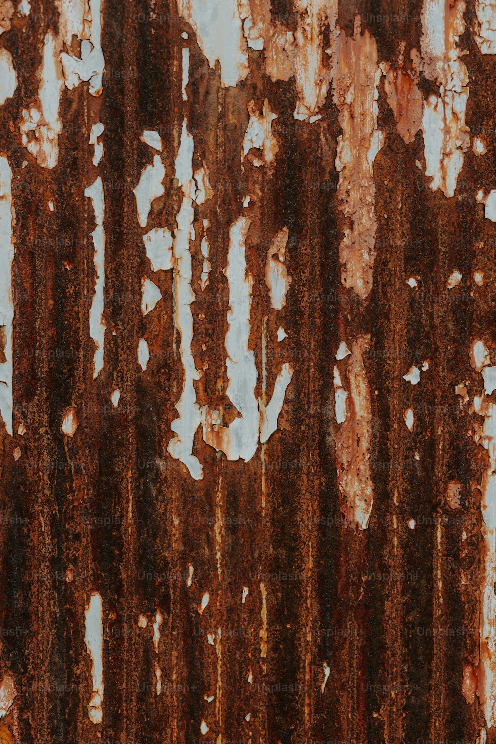 500+ Rust Pictures [HD]  Download Free Images on Unsplash