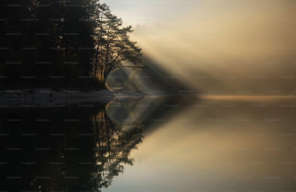 a body of water surrounded by trees and fog