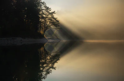 Water surrounded by trees and fog