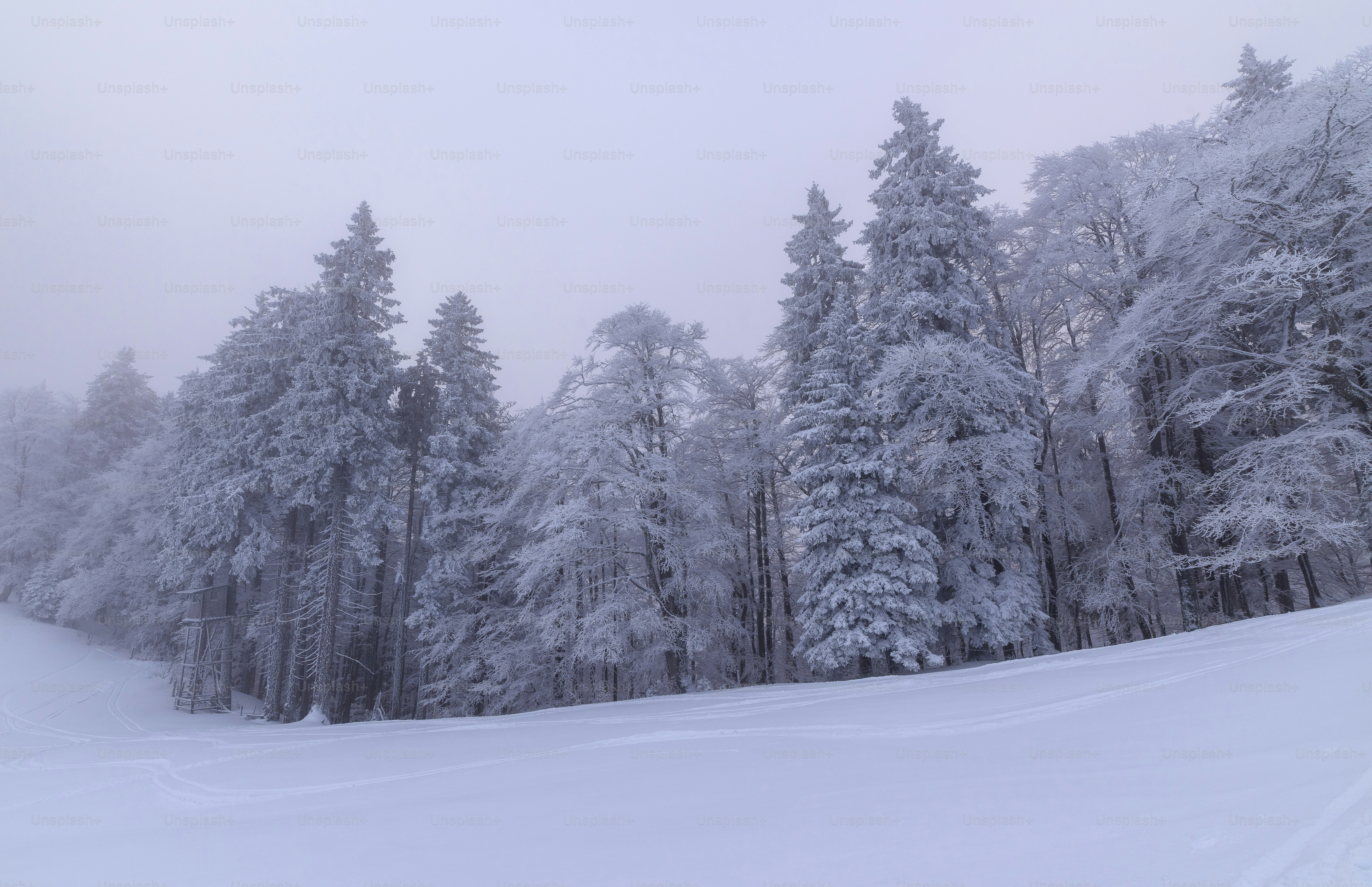 a person riding skis on a snowy surface