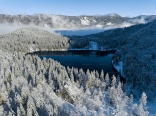a large body of water surrounded by snow covered trees