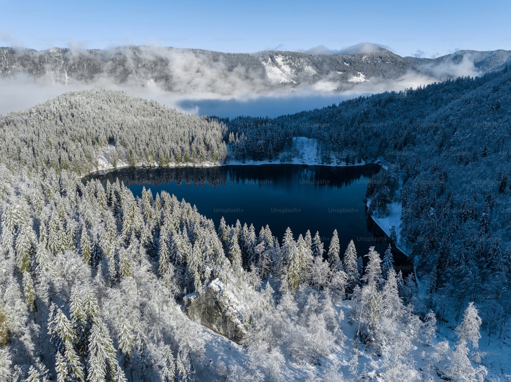 a large body of water surrounded by snow covered trees