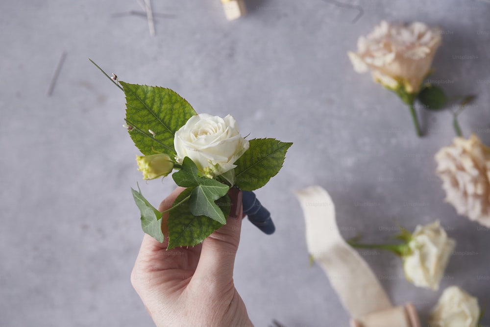 a person holding a white rose with green leaves