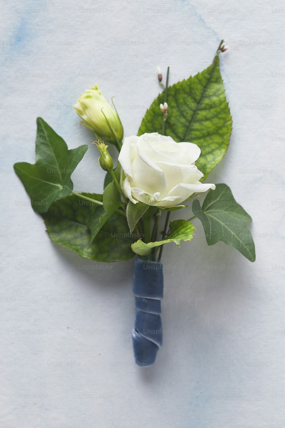 a white rose and green leaves on a blue vase