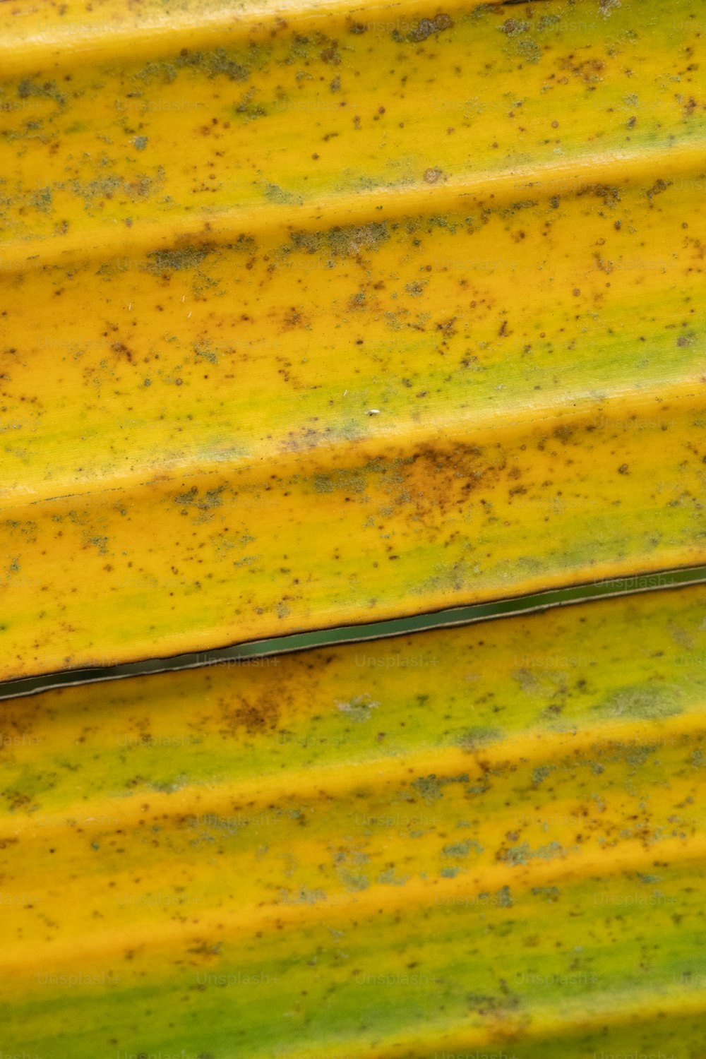 a close up of a green and yellow bench