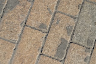 un primo piano di un pavimento di pietra con un uccello su di esso