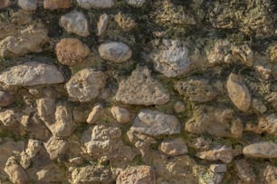 un mur de pierre avec des roches et de la mousse qui poussent dessus