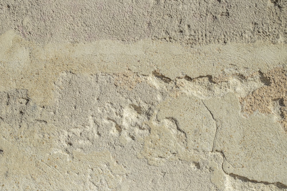 un primo piano di un muro di cemento con crepe