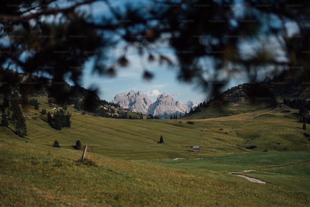 a grassy field with mountains in the background