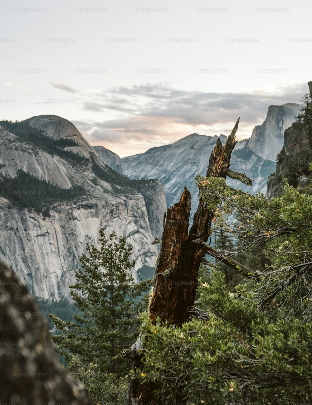 a view of the mountains from a high point of view