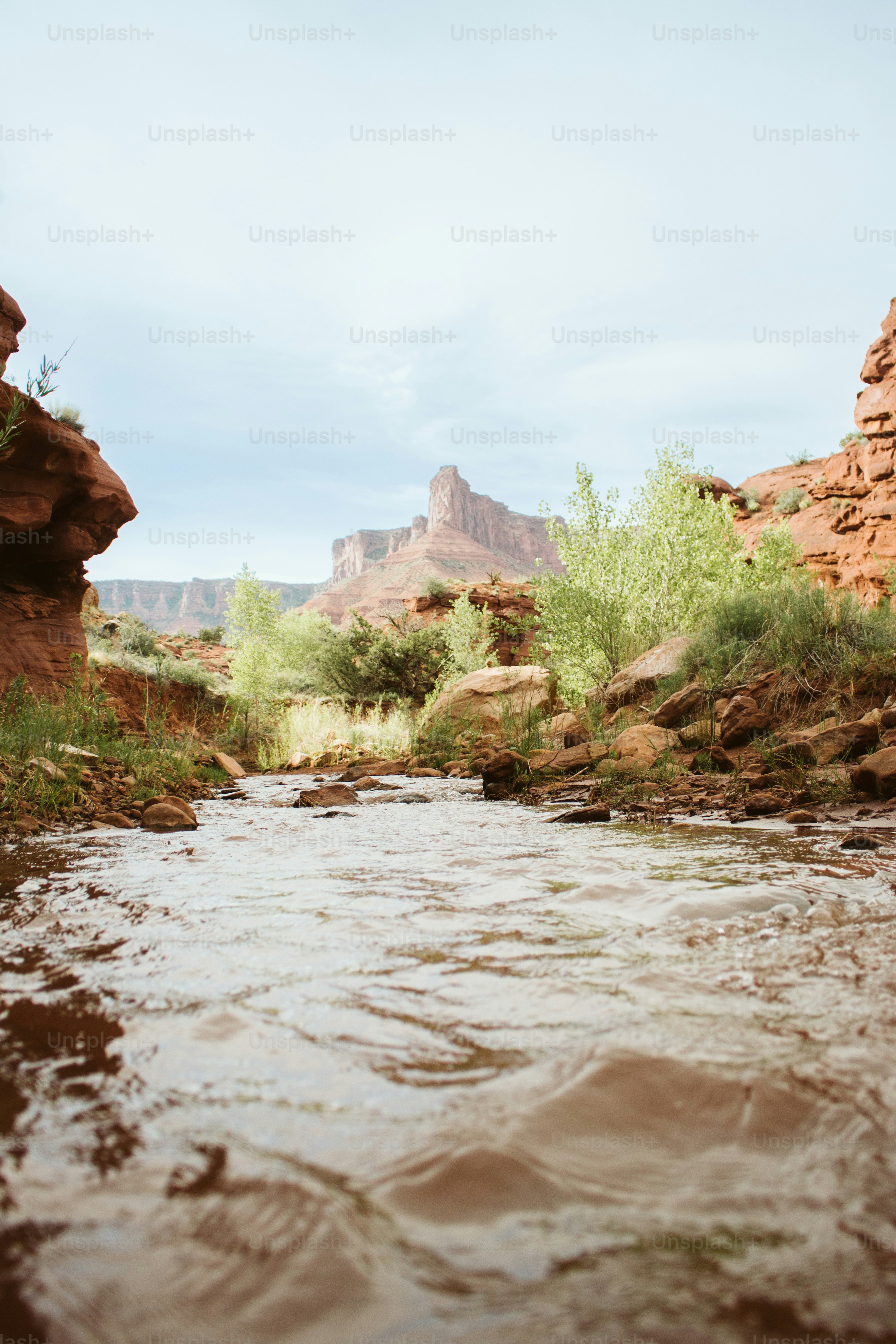 a river running through a canyon surrounded by mountains