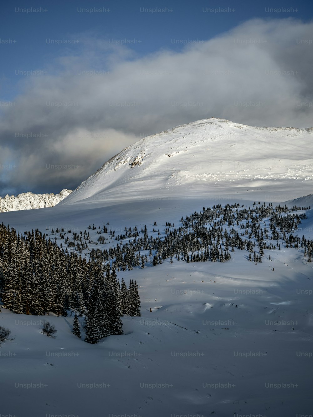 une montagne couverte de neige avec des arbres au premier plan