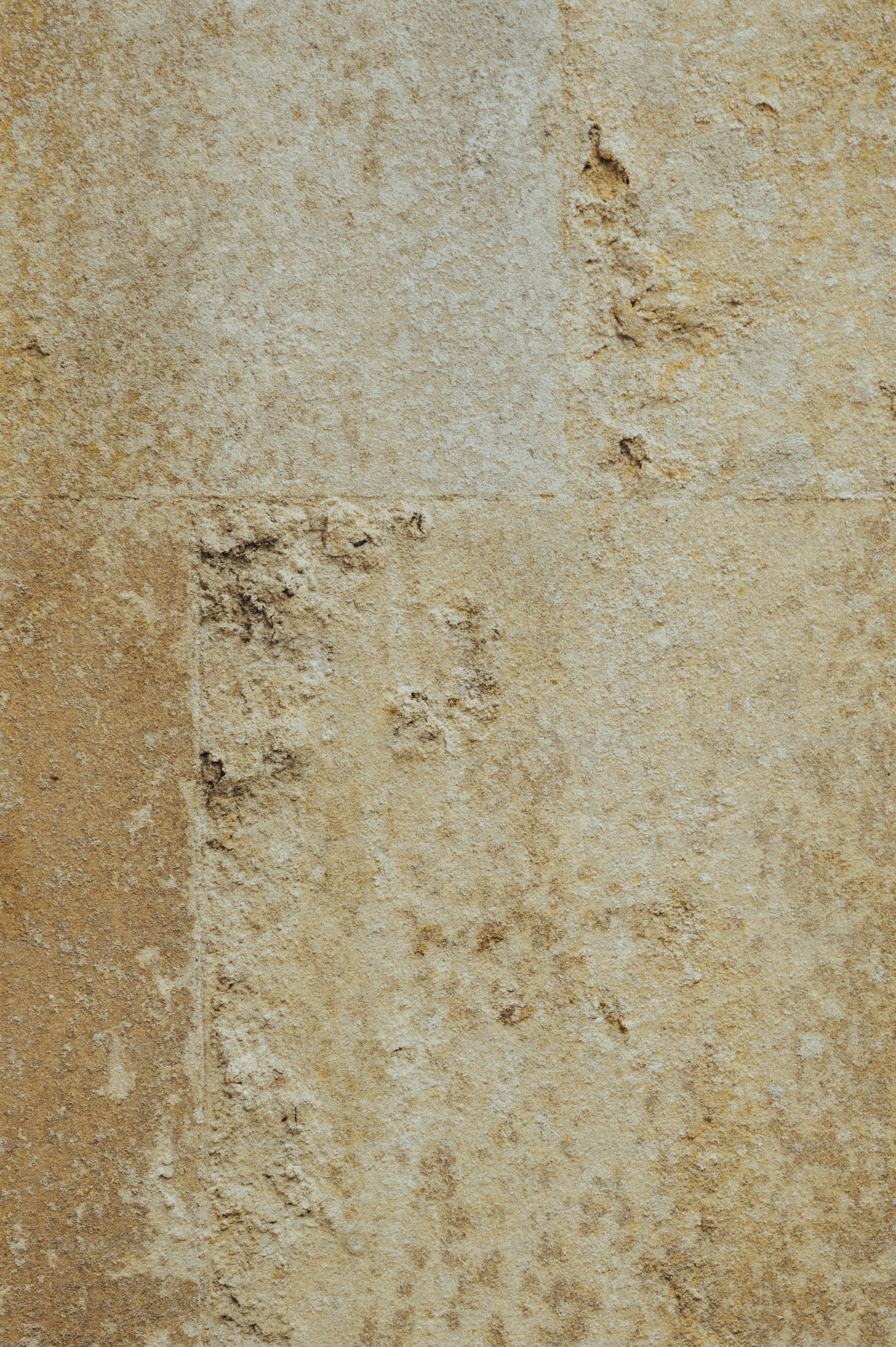 Ein Vogel sitzt auf einem Felsvorsprung eines Gebäudes