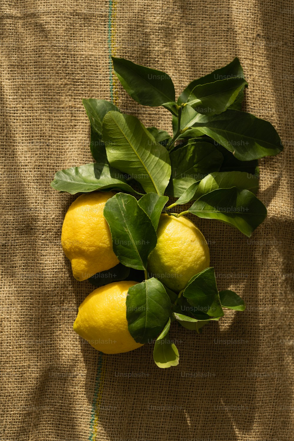Un manojo de limones sentado encima de una mesa