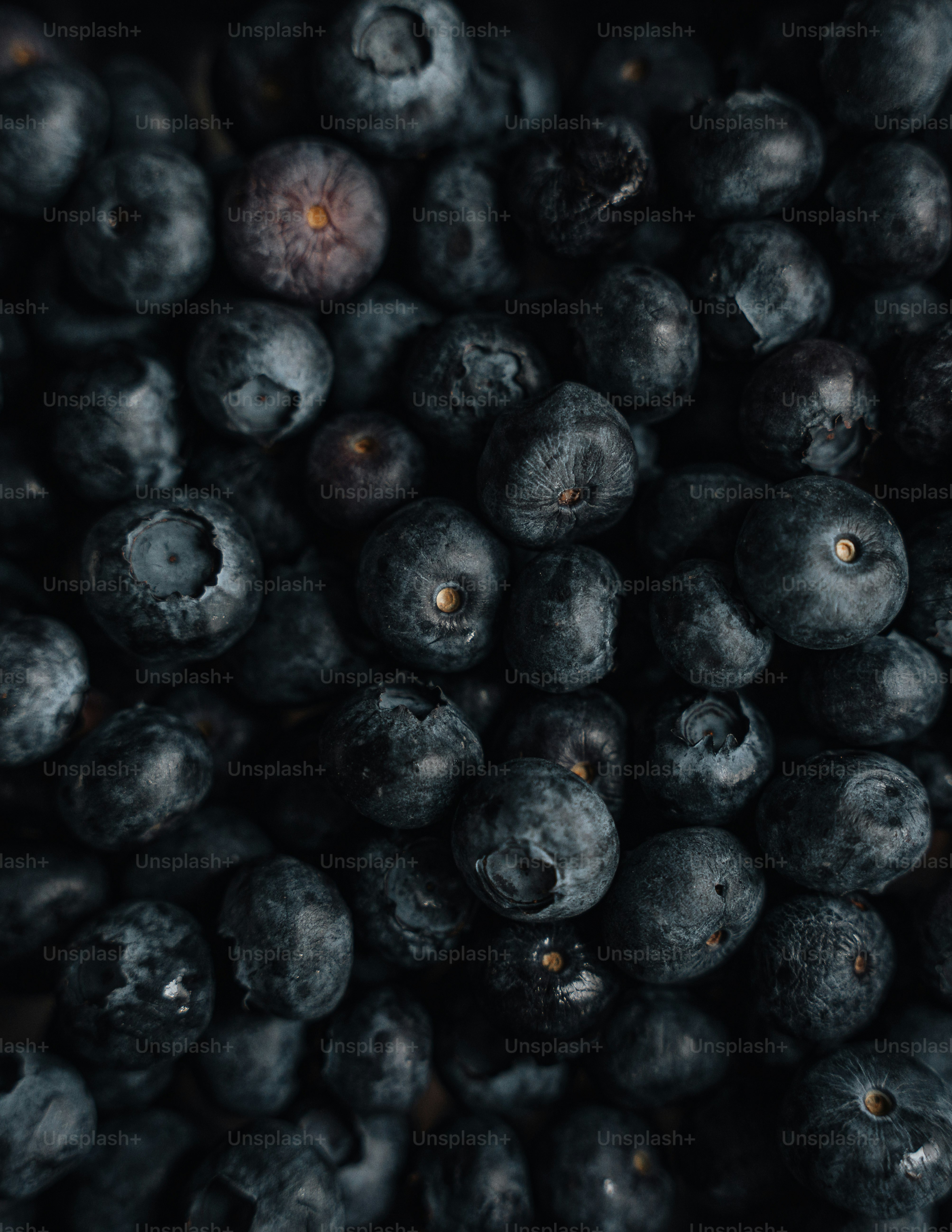 Eine Nahaufnahme von Blaubeeren in einer Schüssel