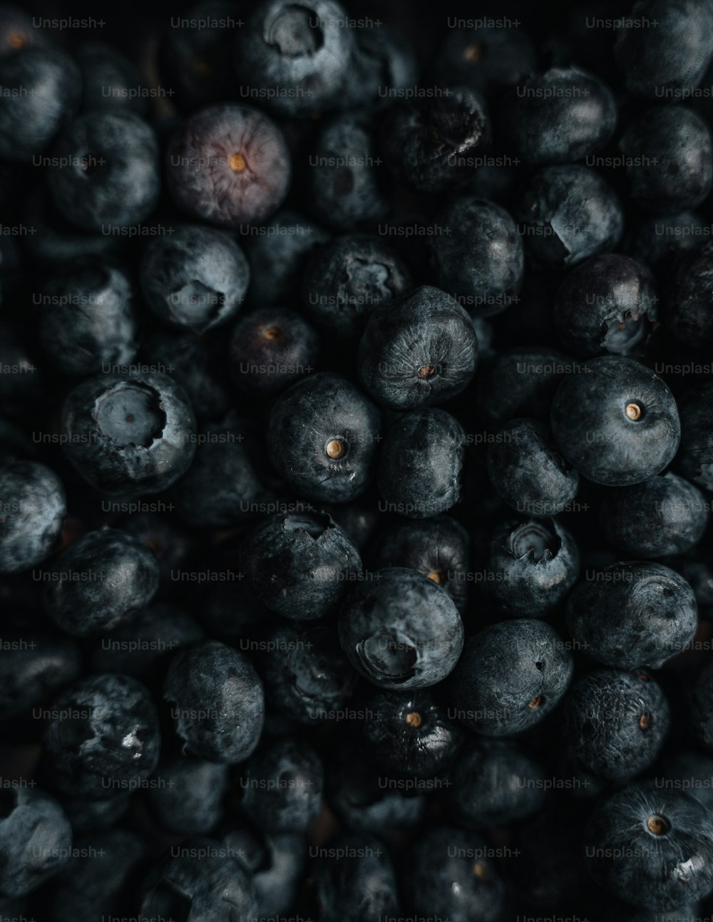 a close up of blueberries in a bowl