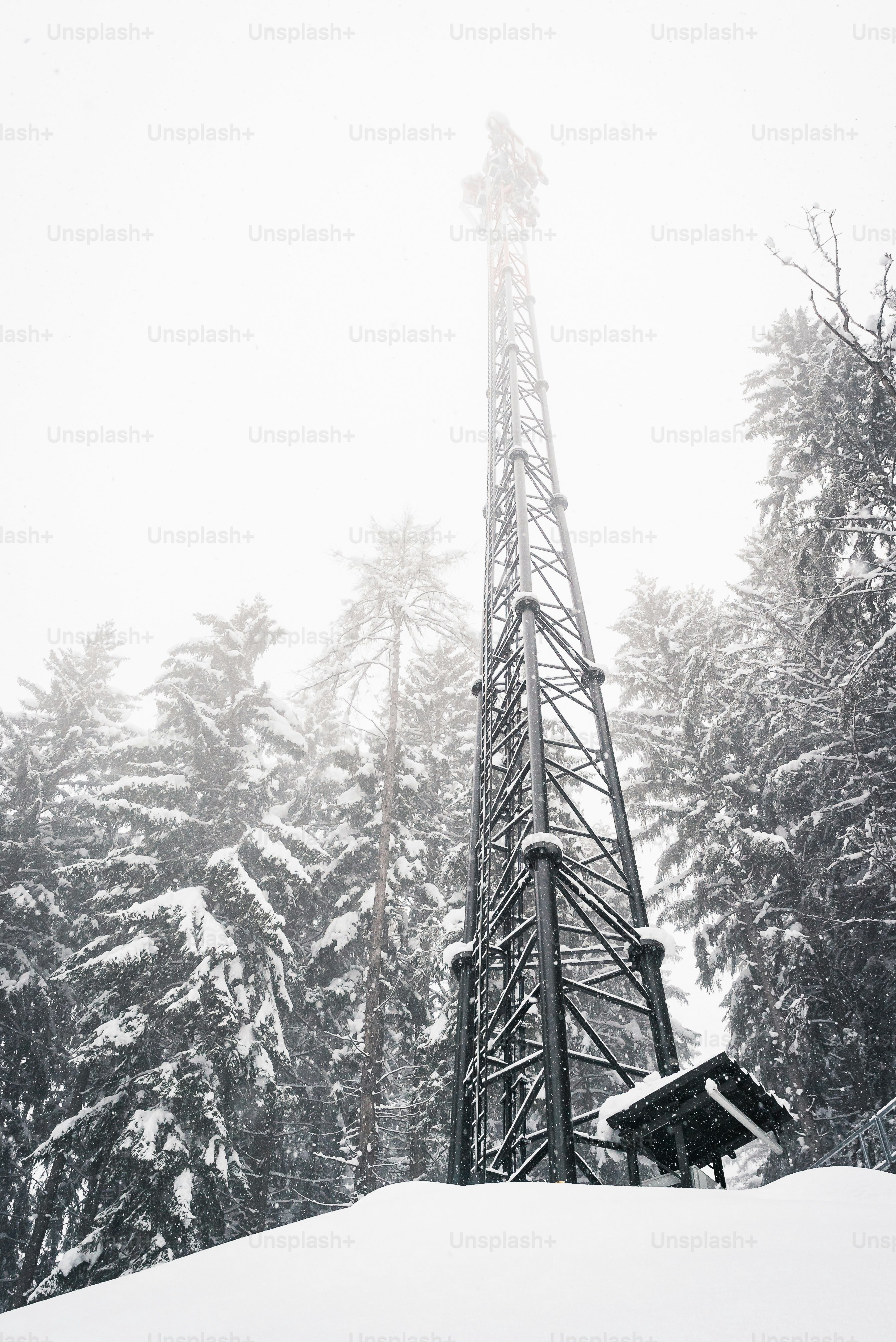 a tall tower sitting in the middle of a forest