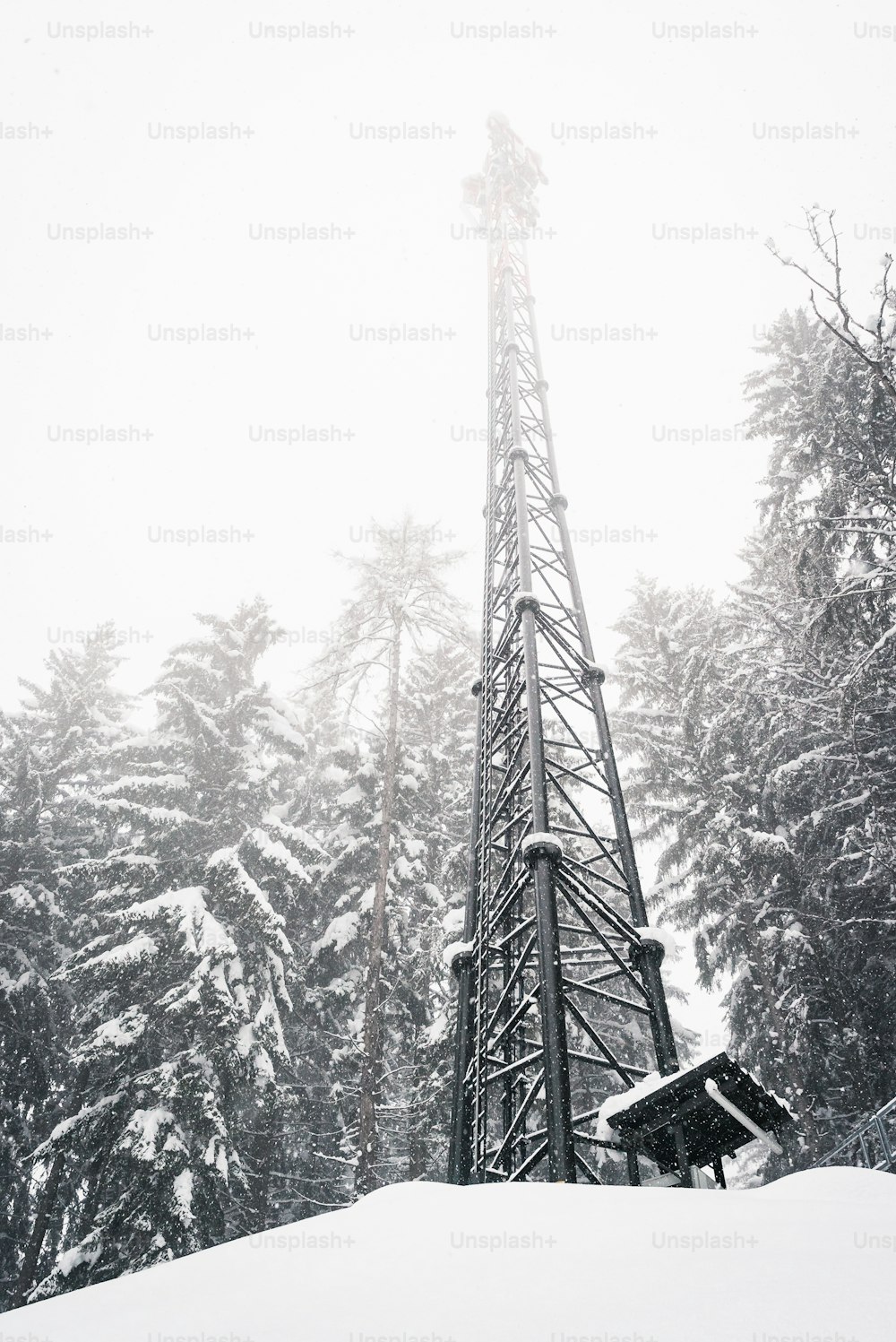 a tall tower sitting in the middle of a forest