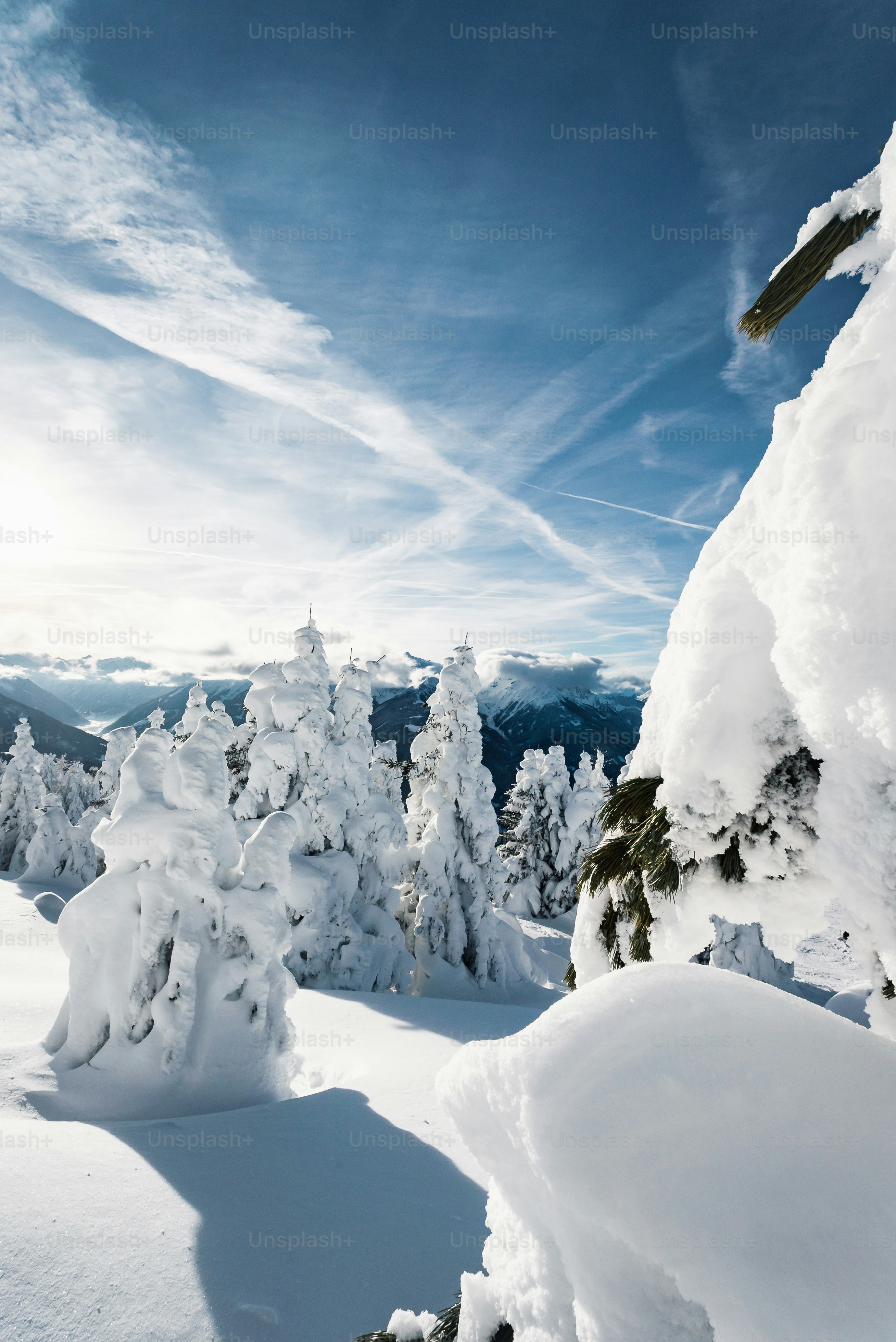 a person jumping a snow board in the air