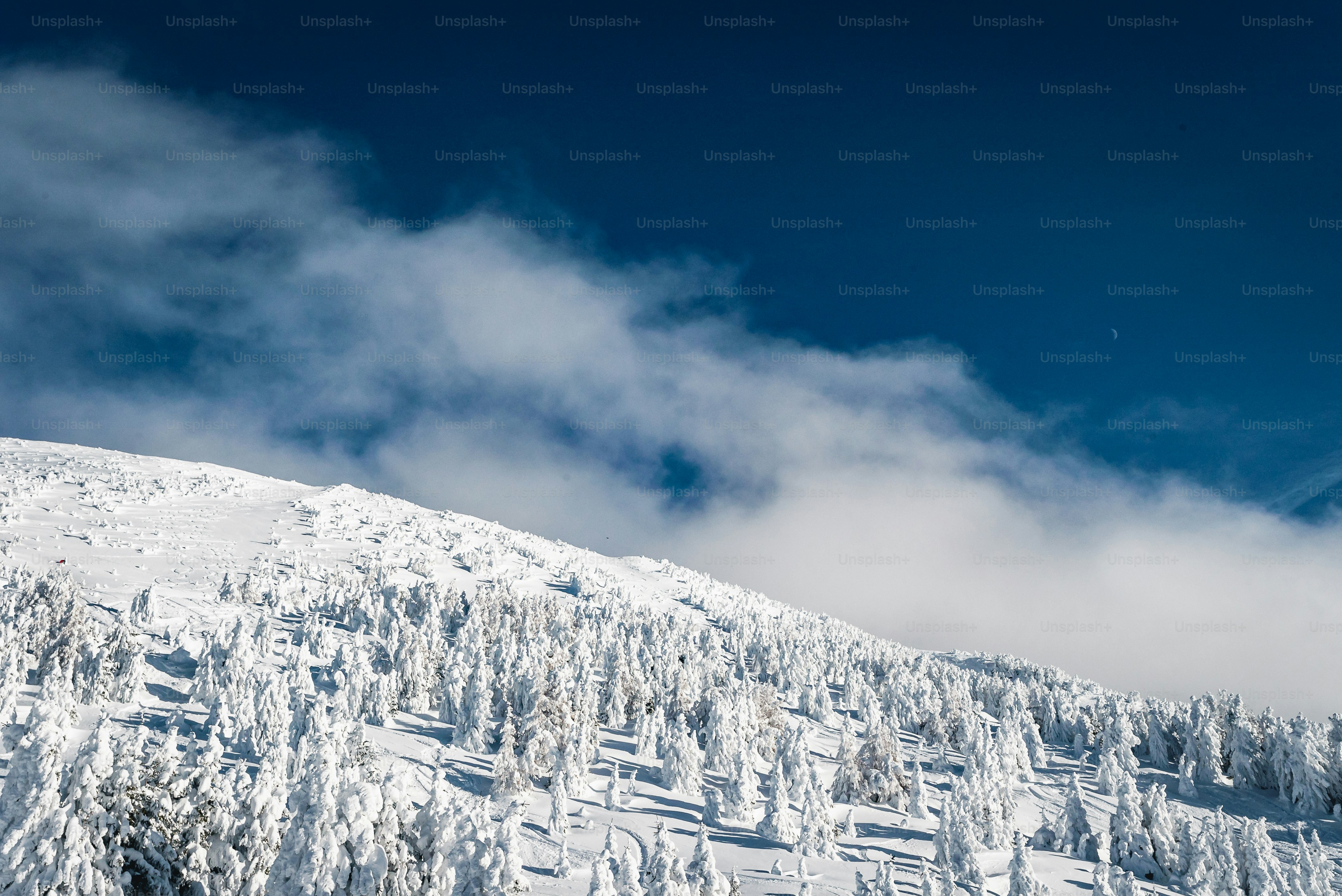 una montagna innevata con alberi sul lato