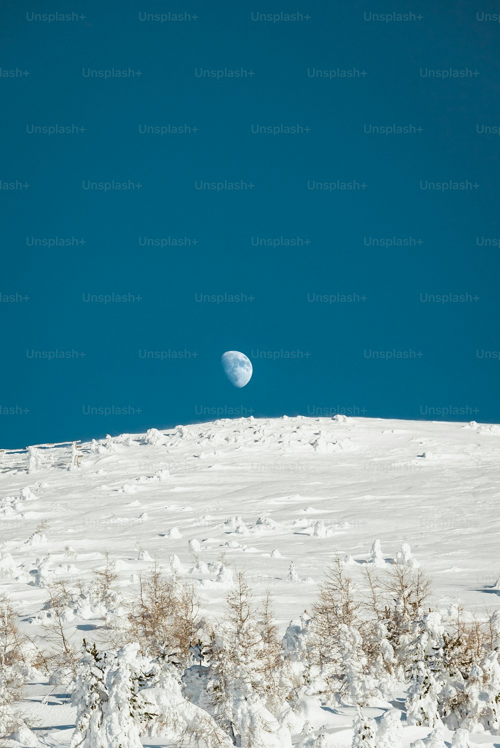 a view of the moon from the top of a snowy hill