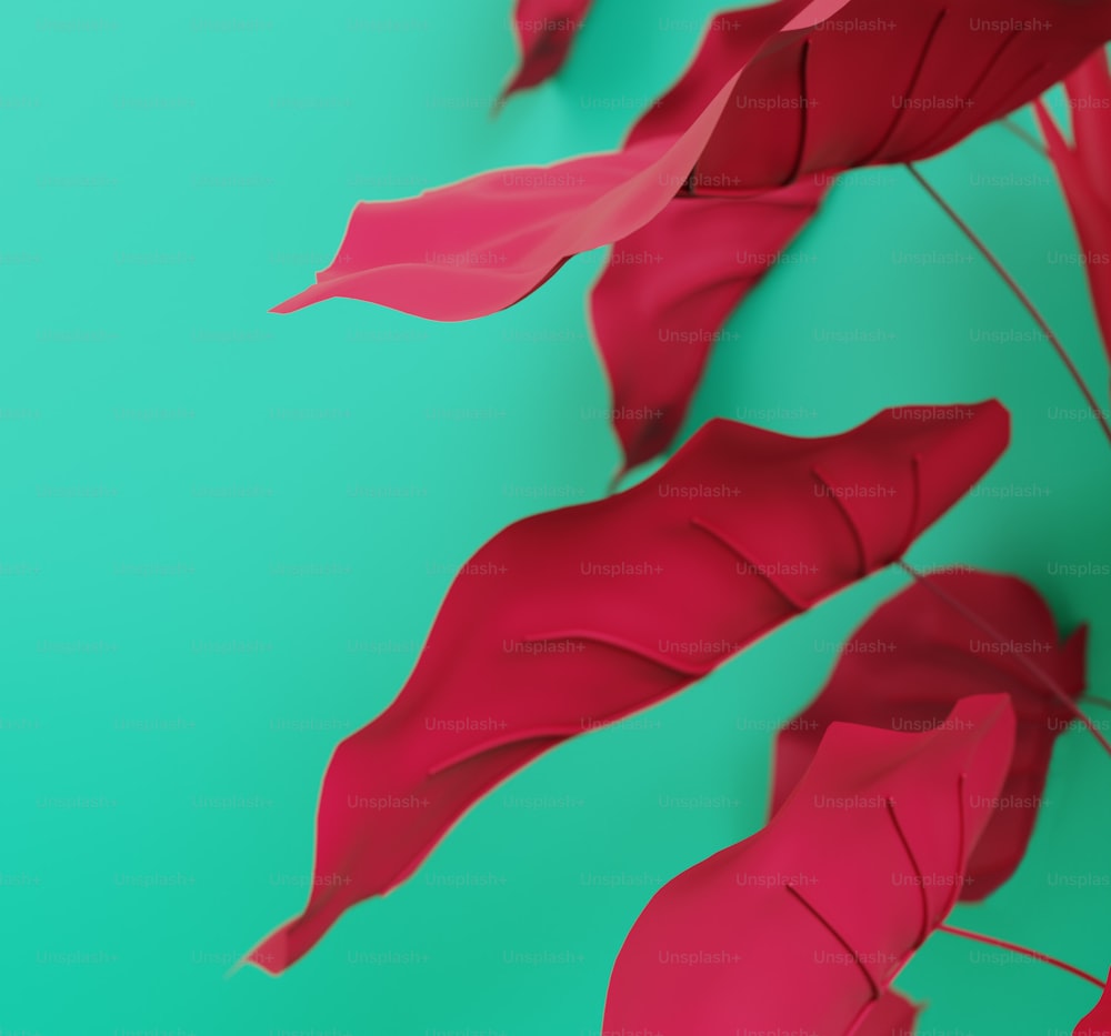 un bouquet de feuilles rouges flottant dans l’air