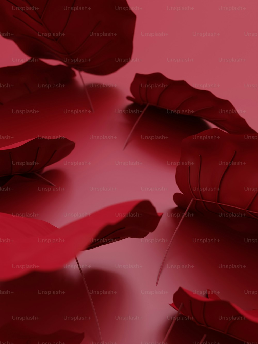 a group of red leaves floating on top of a body of water