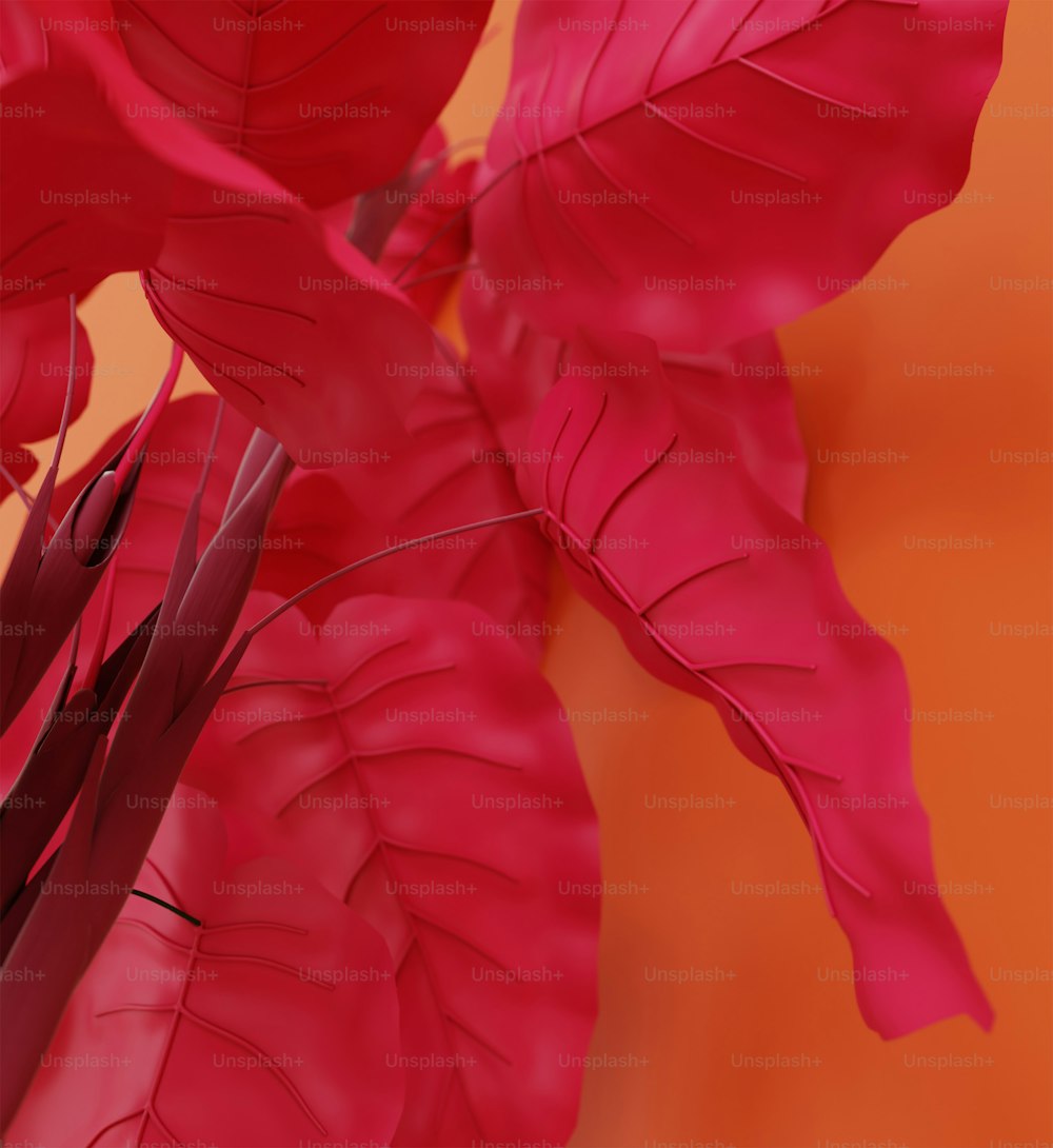 a close up of a plant with red leaves