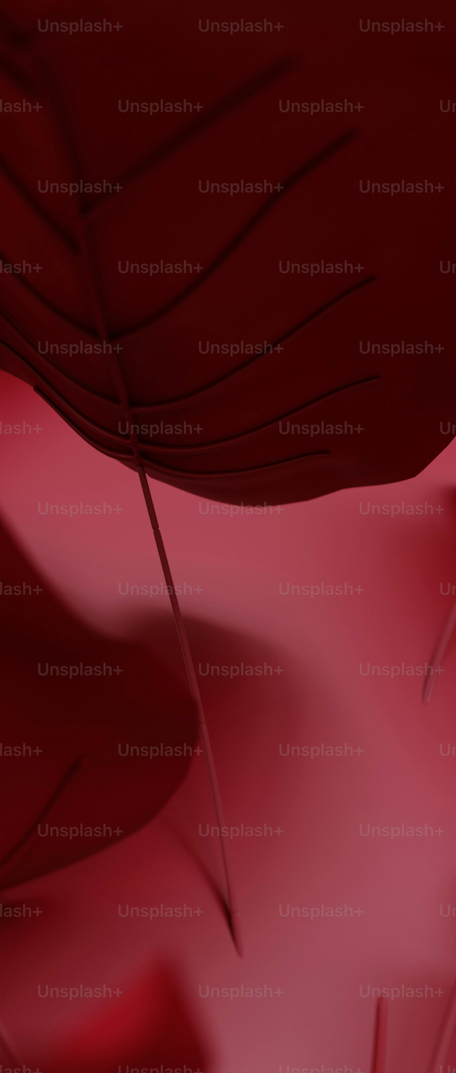 viva magenta collection of 3D illustrations /backgrounds
