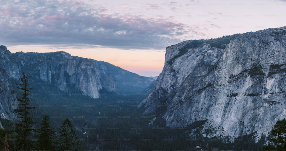 une vue sur les montagnes et les arbres depuis le sommet d’une montagne