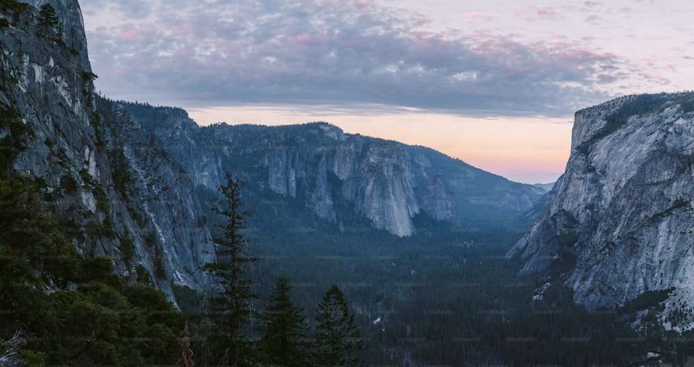 a view of the mountains and trees from the top of a mountain