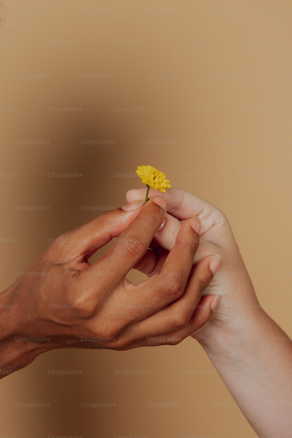 손에 작은 노란 꽃을 들고 있는 사람