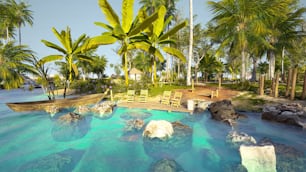 uma grande piscina com uma doca de madeira cercada por palmeiras