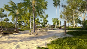 a sandy area with palm trees and benches