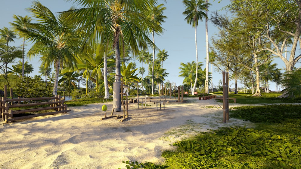 a sandy area with palm trees and benches