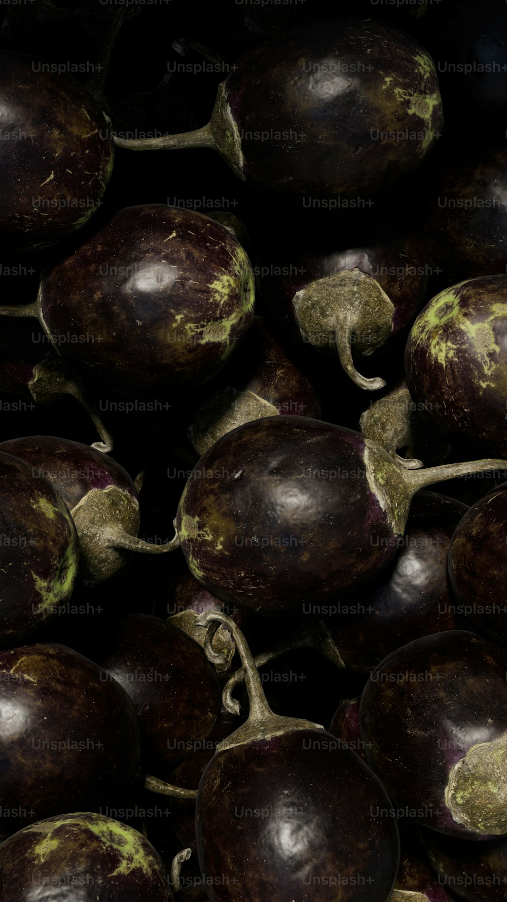 a close up of a bunch of eggplant