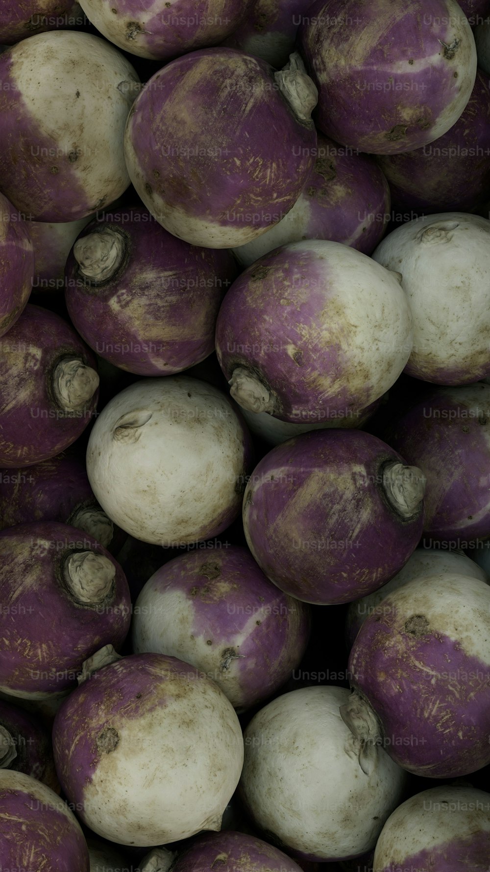 a pile of purple and white turnips piled on top of each other