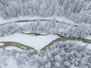 an aerial view of a snow covered forest