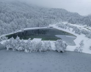 um grande lago cercado por árvores cobertas de neve