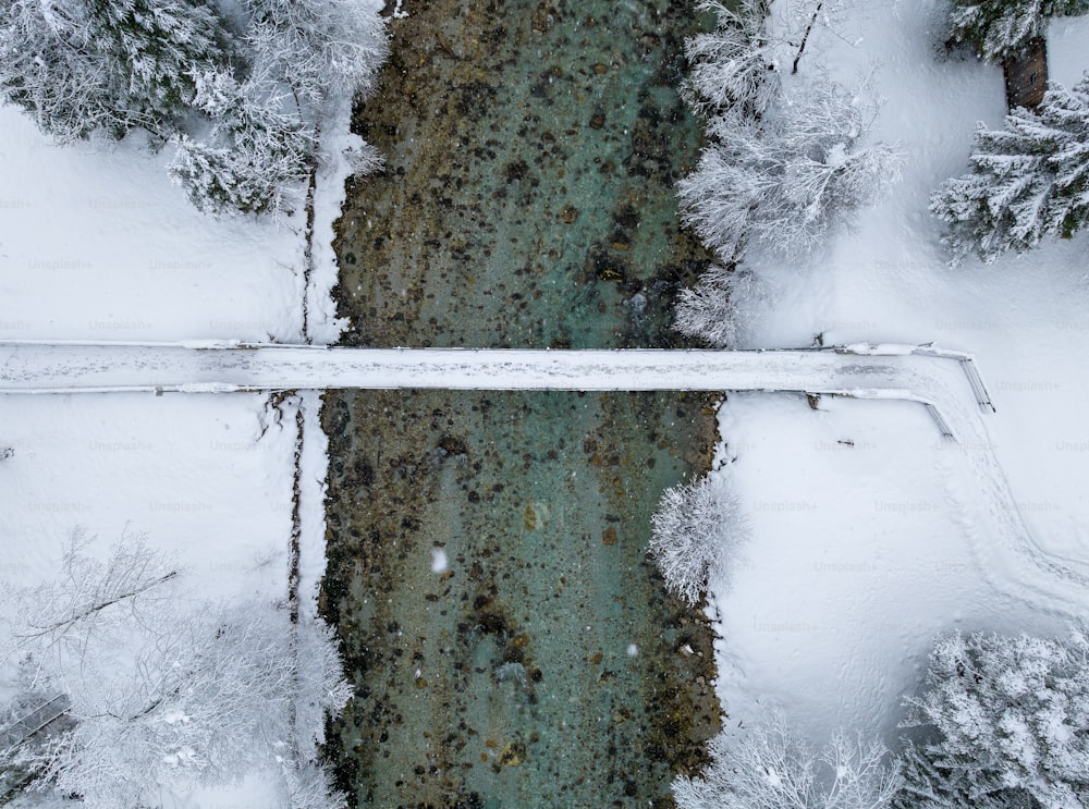 Una vista aérea de árboles cubiertos de nieve y un río