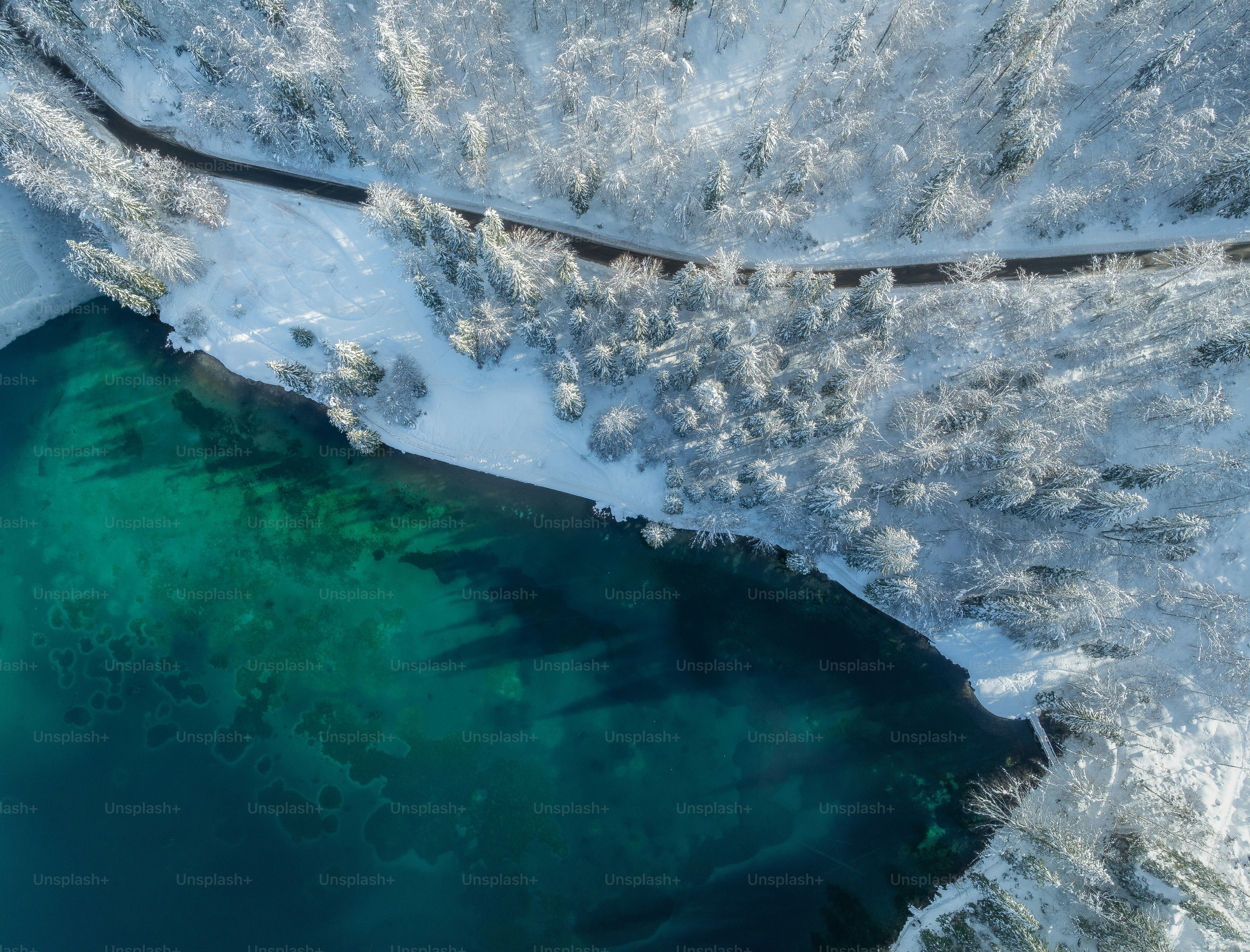 a body of water surrounded by snow covered trees
