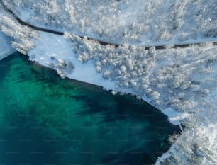 a body of water surrounded by snow covered trees