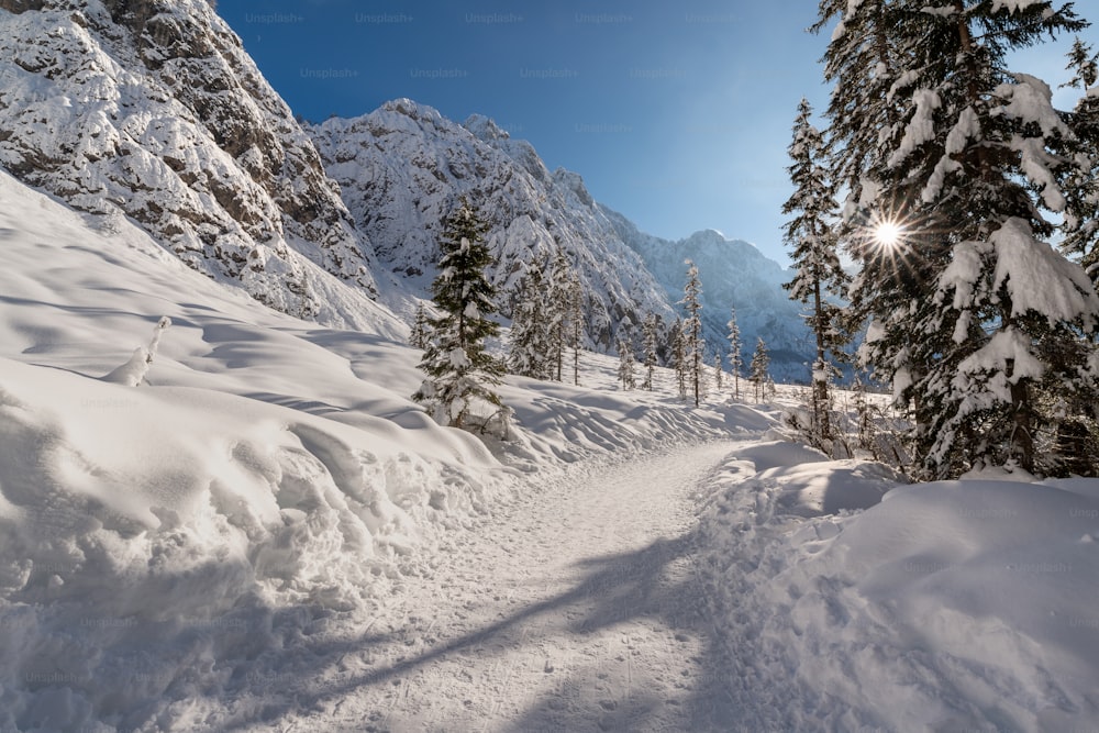 a snow covered path in the middle of a mountain