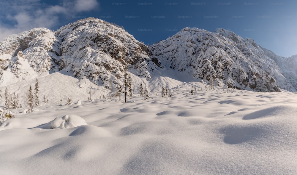 a mountain covered in snow with trees in the foreground