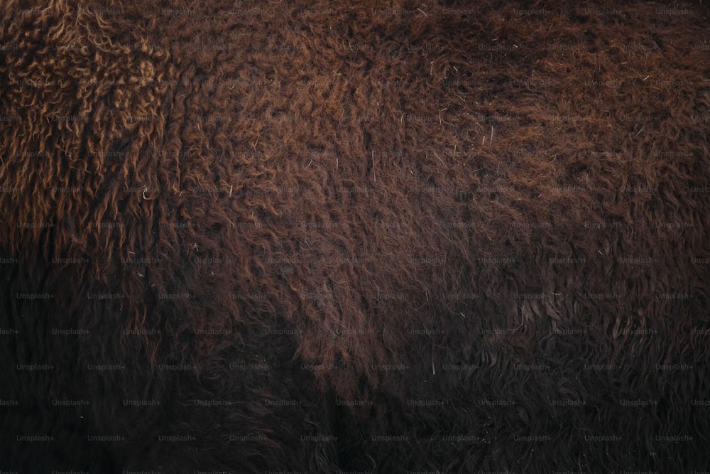 a close up of a brown bear's fur