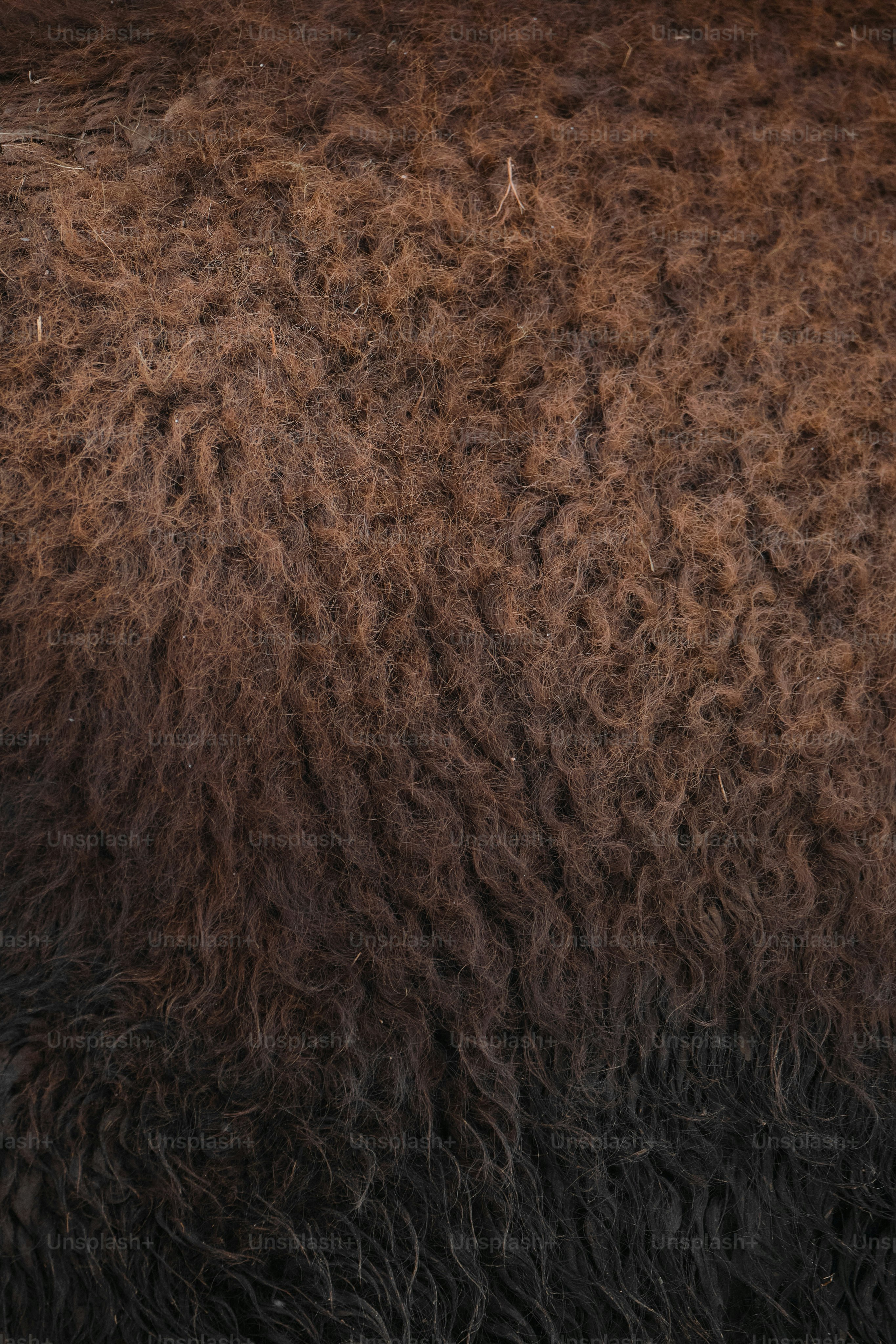 premium_photo-1675073085306-11487b103ff1?ixid=M3wxMjA3fDB8MXxzZWFyY2h8MTd8fCVEQSVBOSVEOCVBNyVEOCVCNCVEOCVBQSUyMCVEOCVBNyVEOCVBOCVEOCVCMSVEOSU4OCUyMCVEOCVBRiVEOCVCMSUyMCVEQSVBOSVEOCVCMSVEOCVBQ3xlbnwwfHx8fDE3NjMwMzU2Njd8MA\u0026ixlib=rb-4.1.0