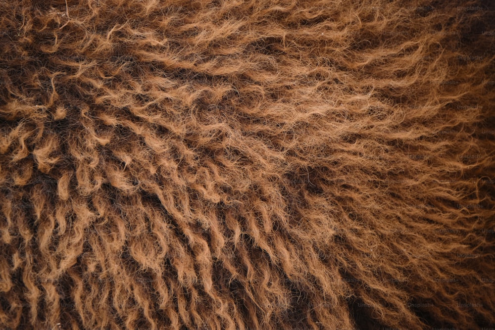 Un primo piano della pelliccia di una pecora marrone