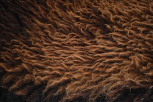 Una vista de cerca de la piel de una oveja